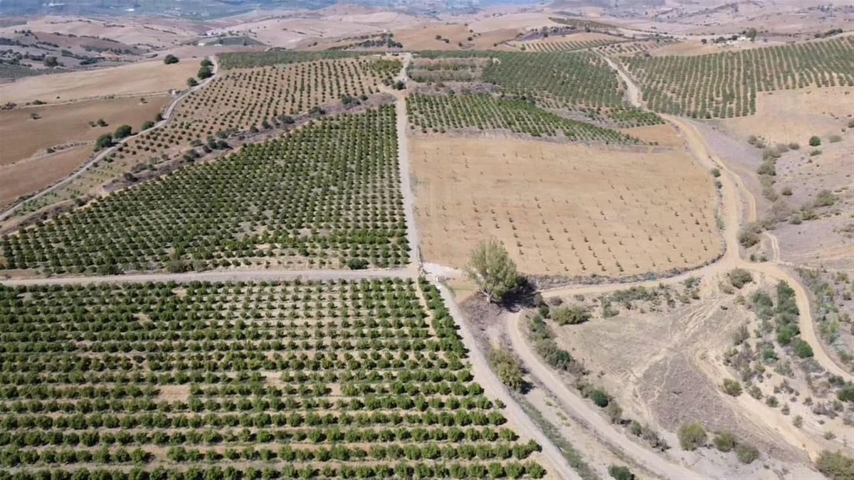 Property main view 14