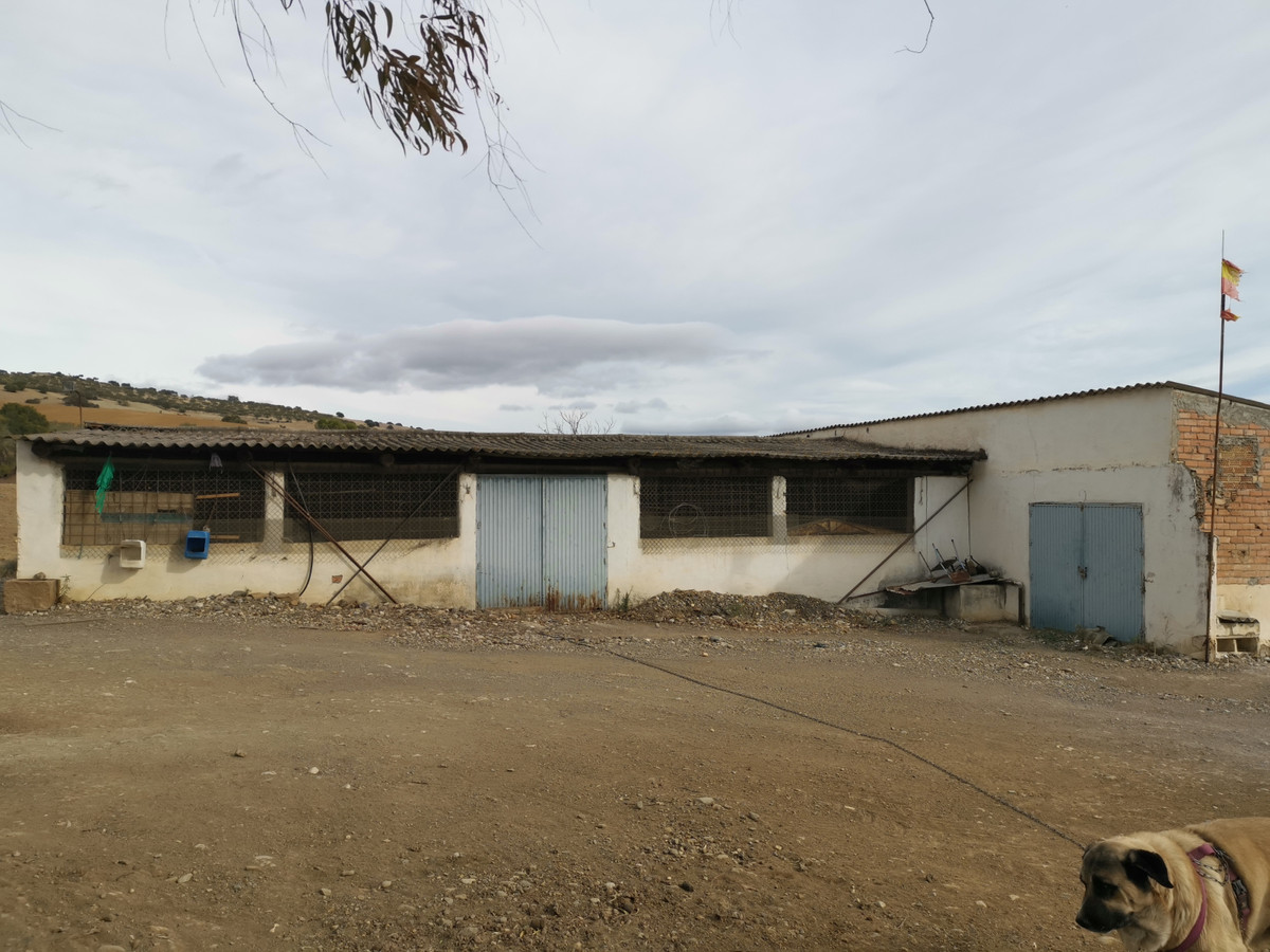 Property main view 18