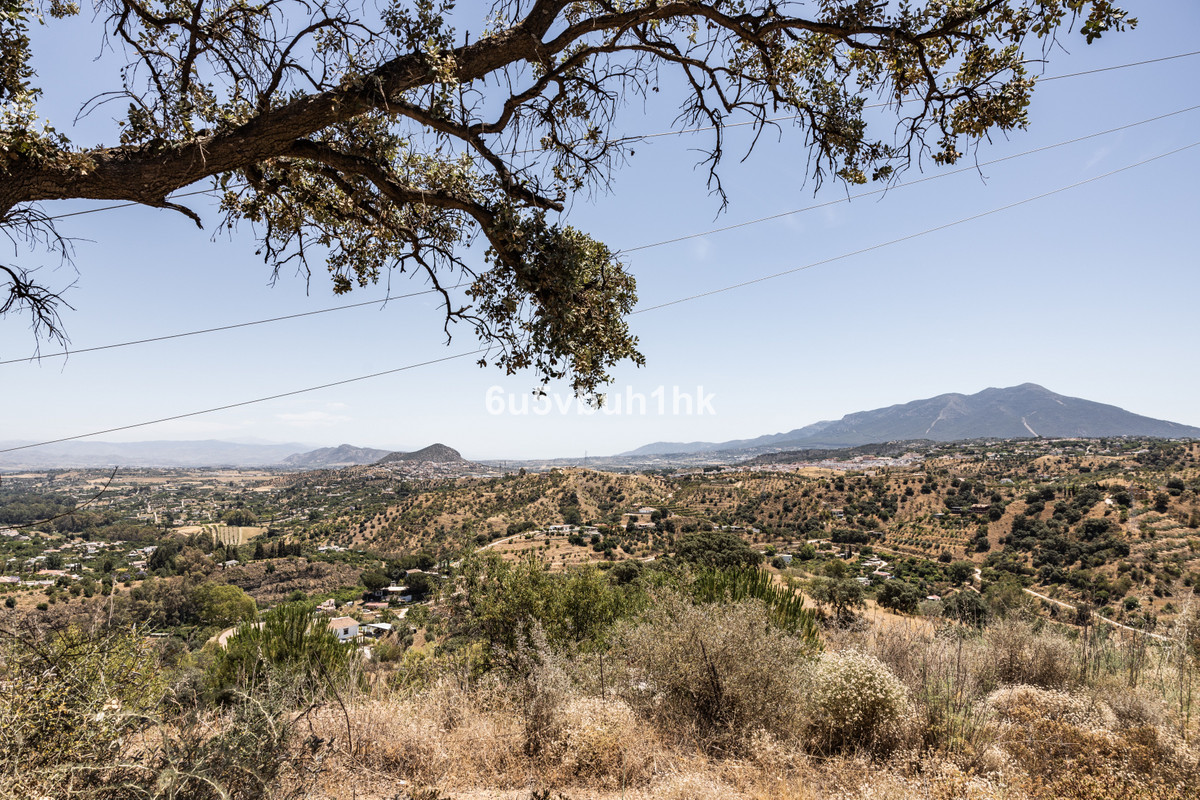 Property main view 10