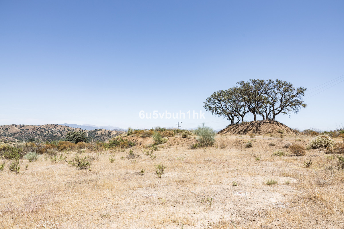 Property main view 5