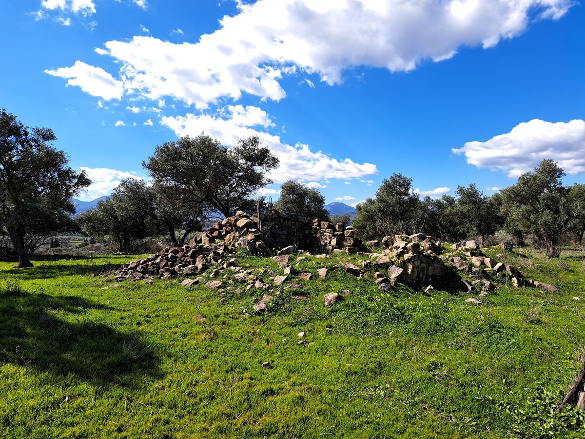 Property main view 11