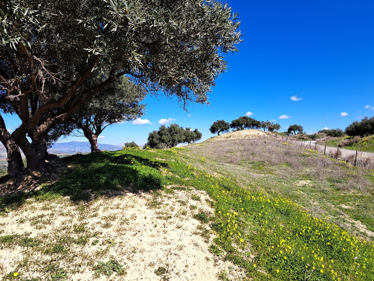 Property main view 15