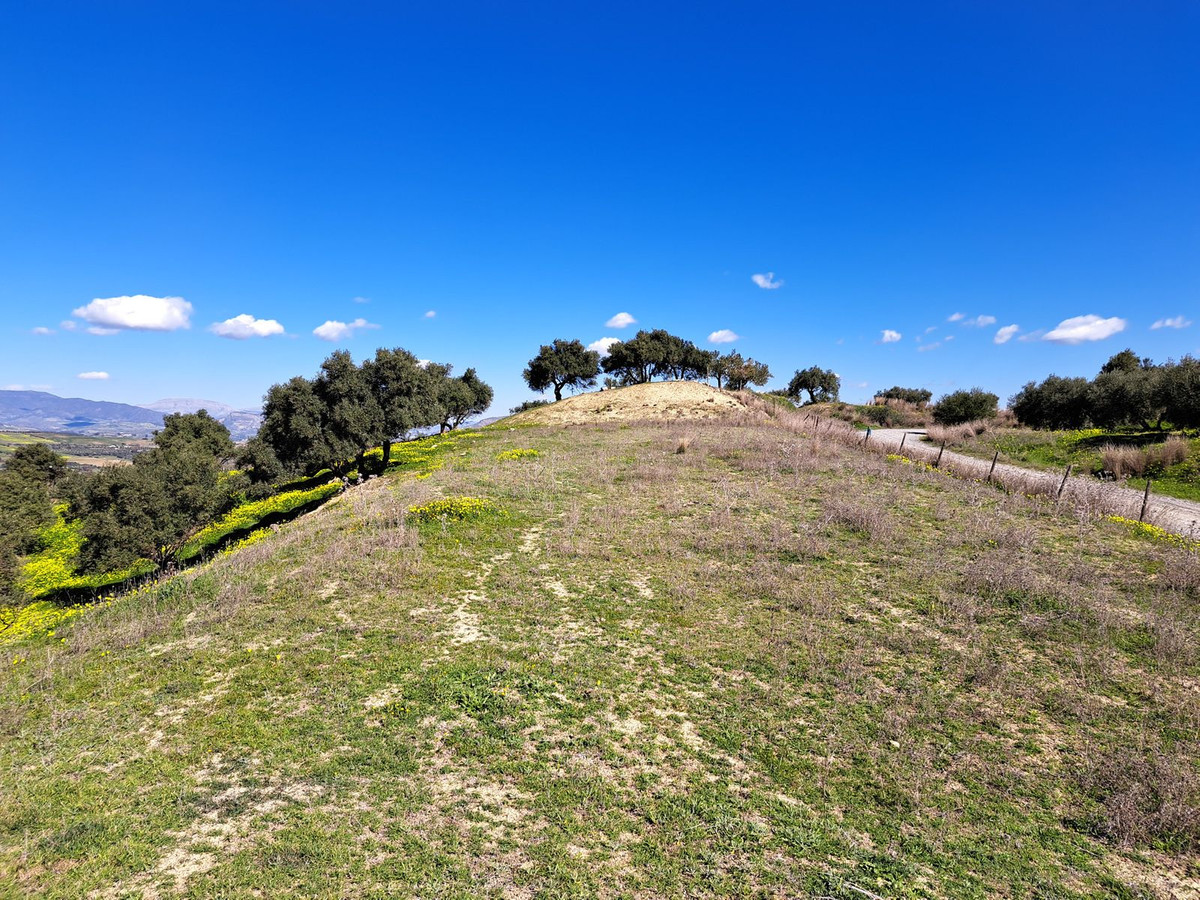 Property main view 16