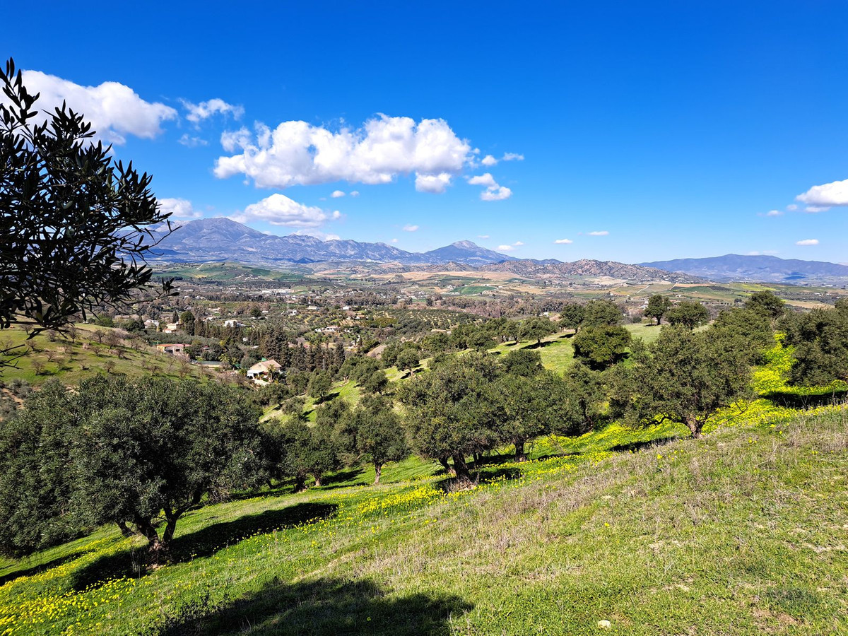 Property main view 17