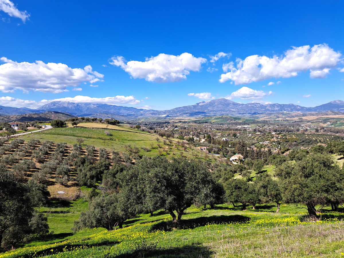 Property main view 18