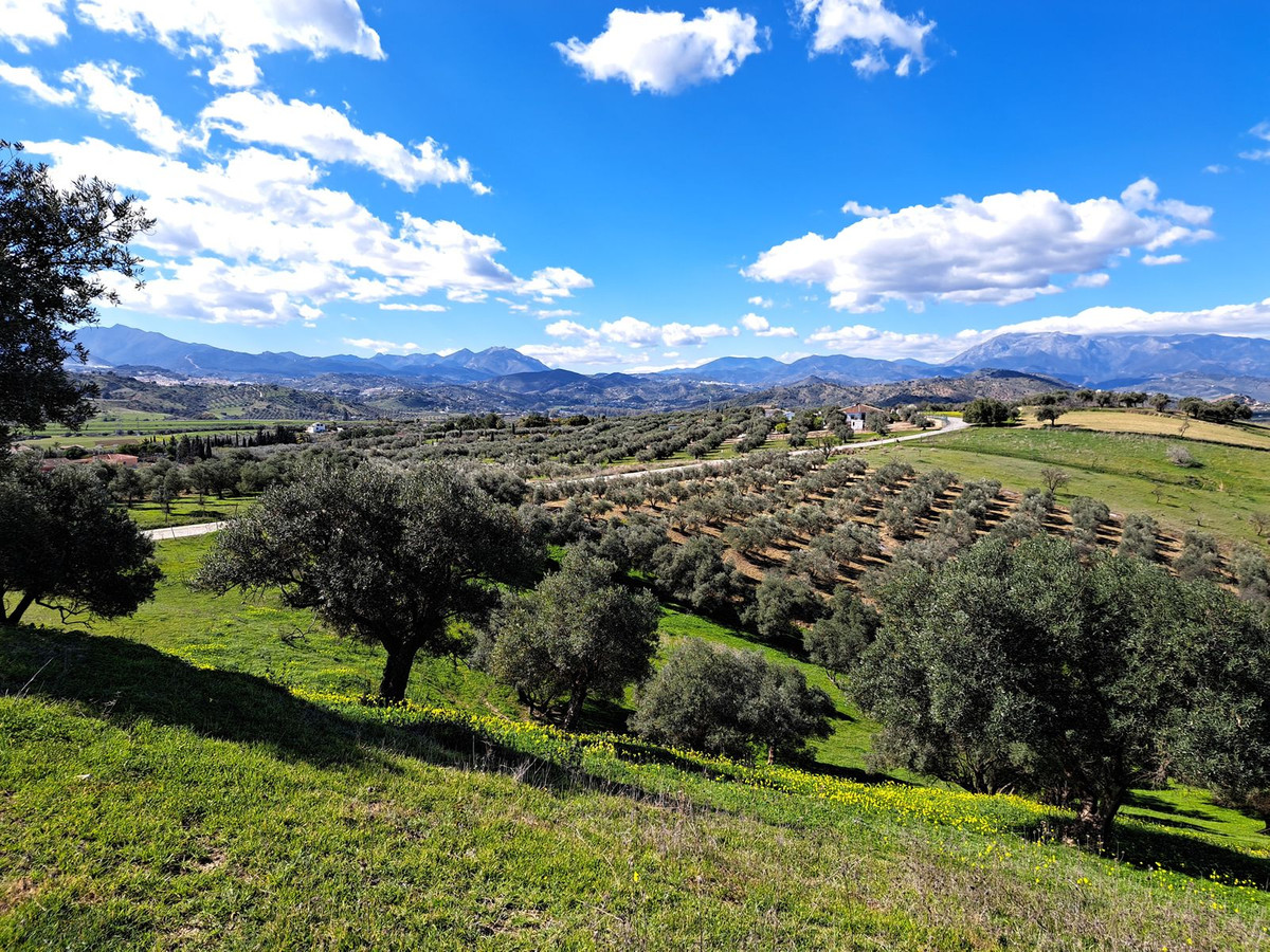 Property main view 19