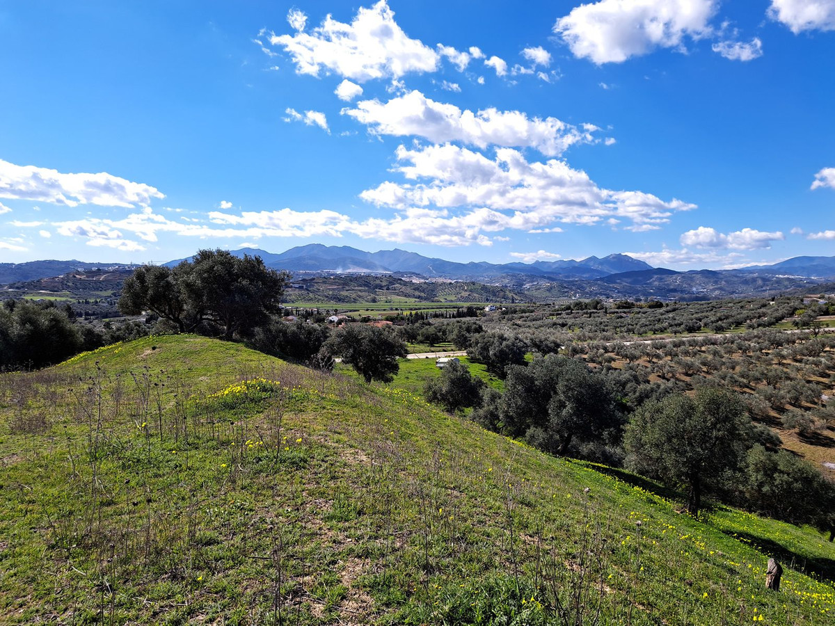 Property main view 20