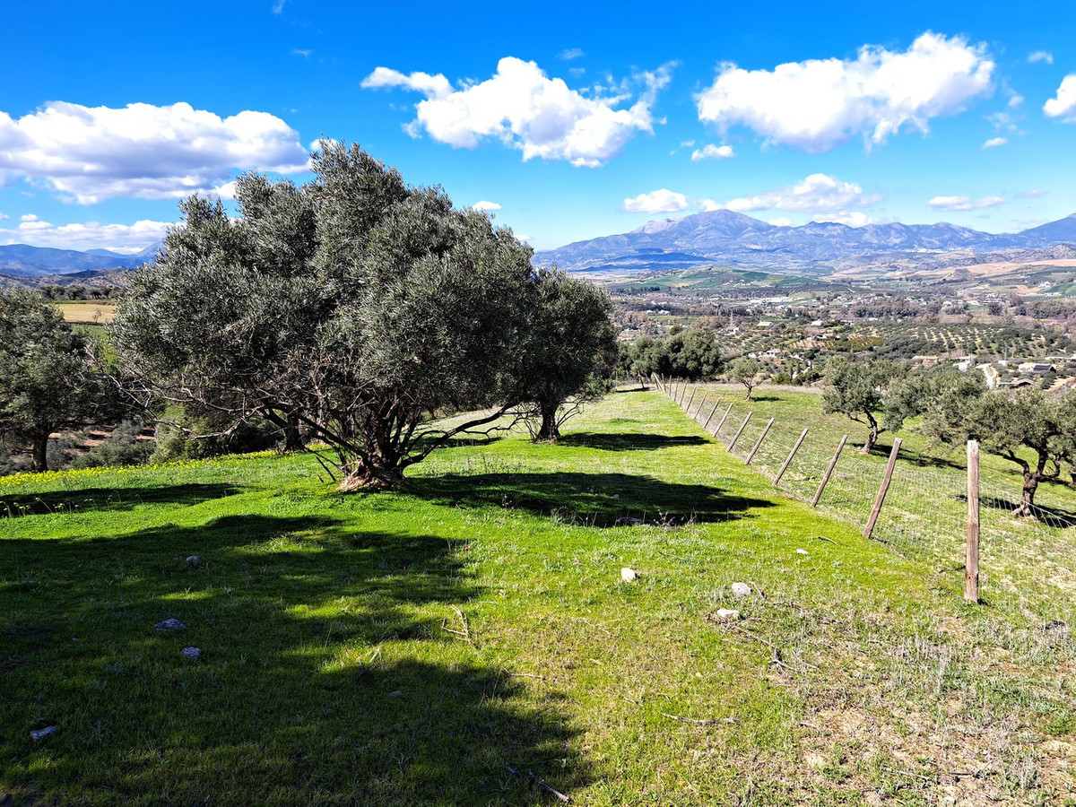 Property main view 21