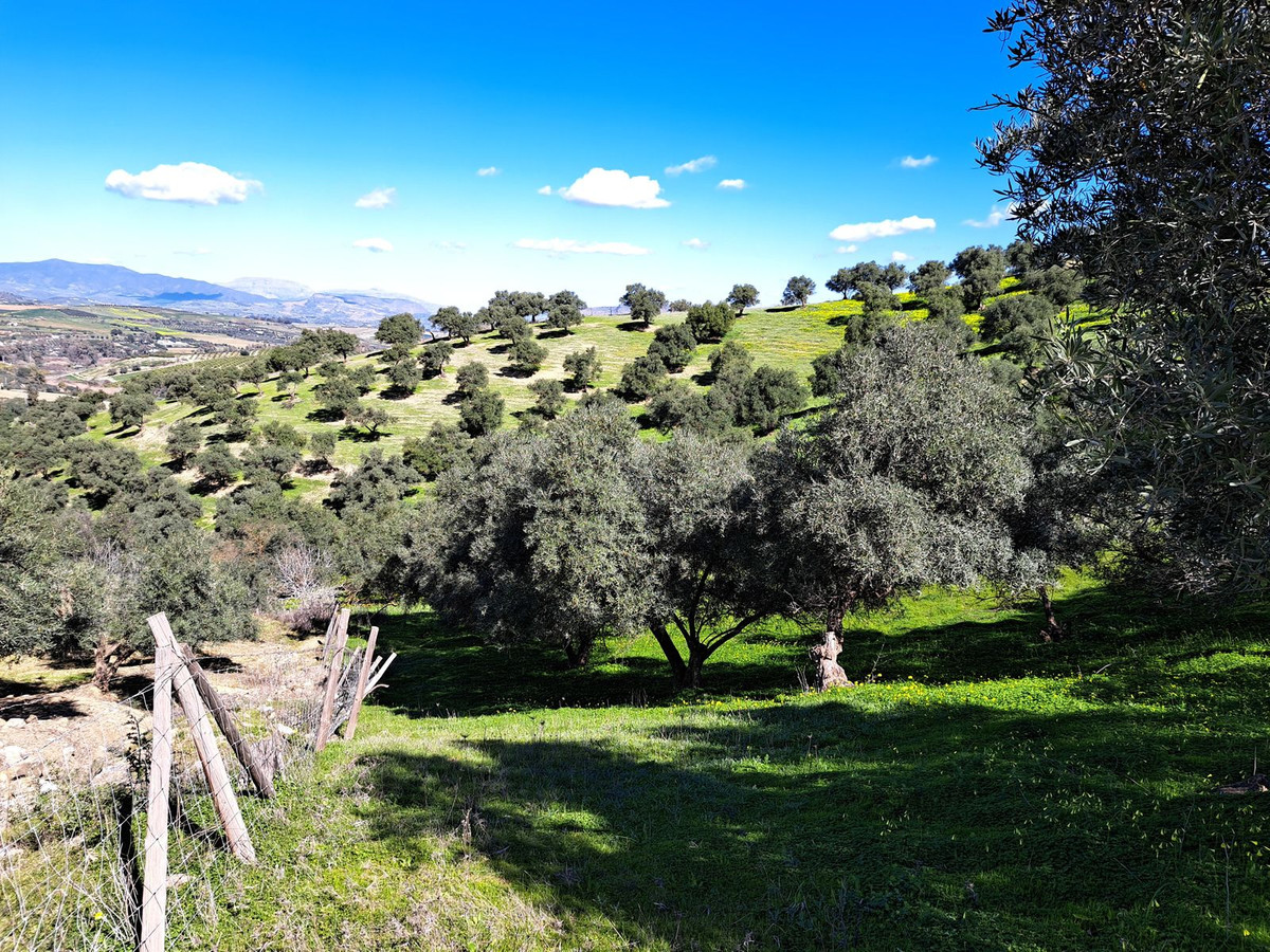 Property main view 24