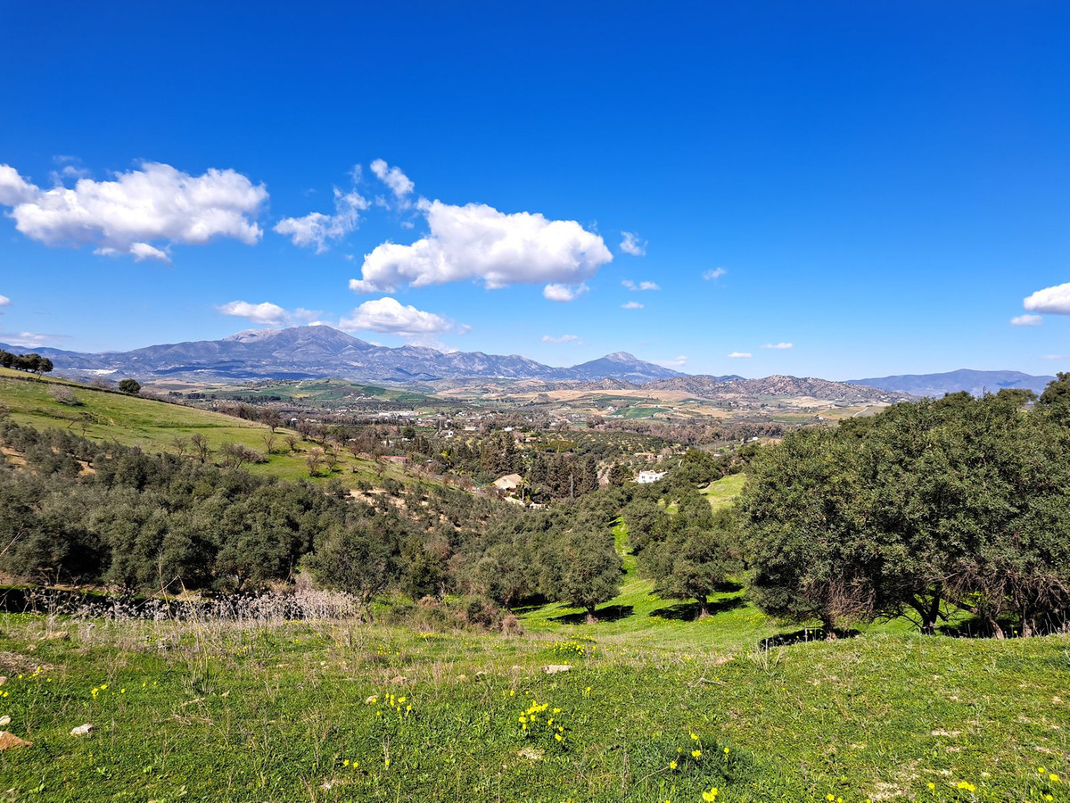 Property main view 6