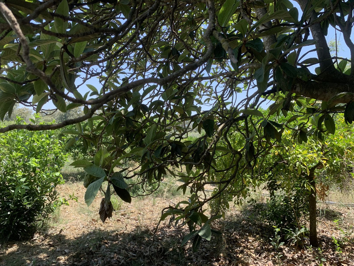 Property main view 10