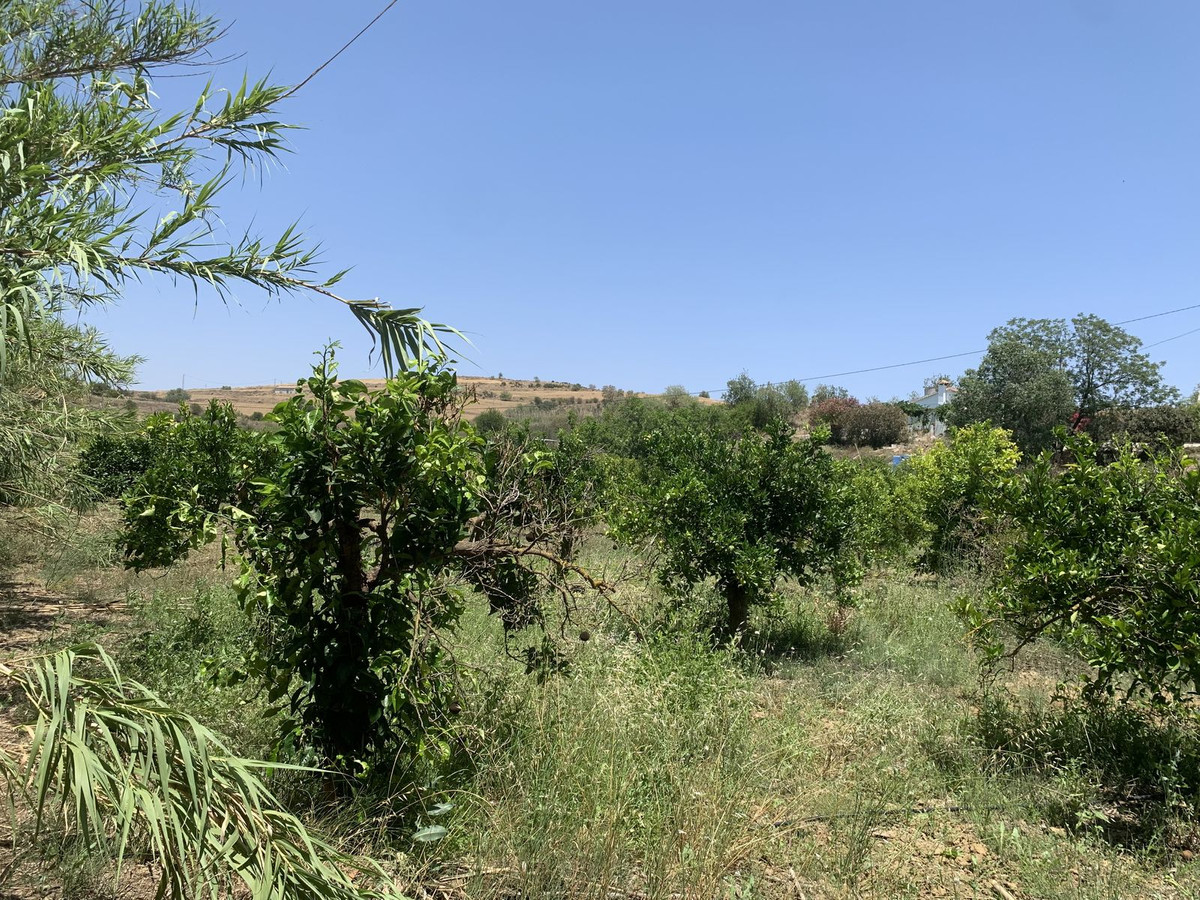 Property main view 11