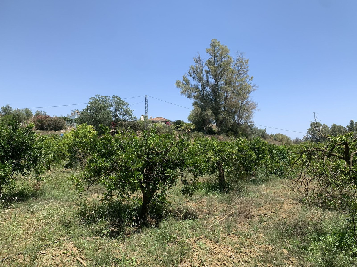 Property main view 12