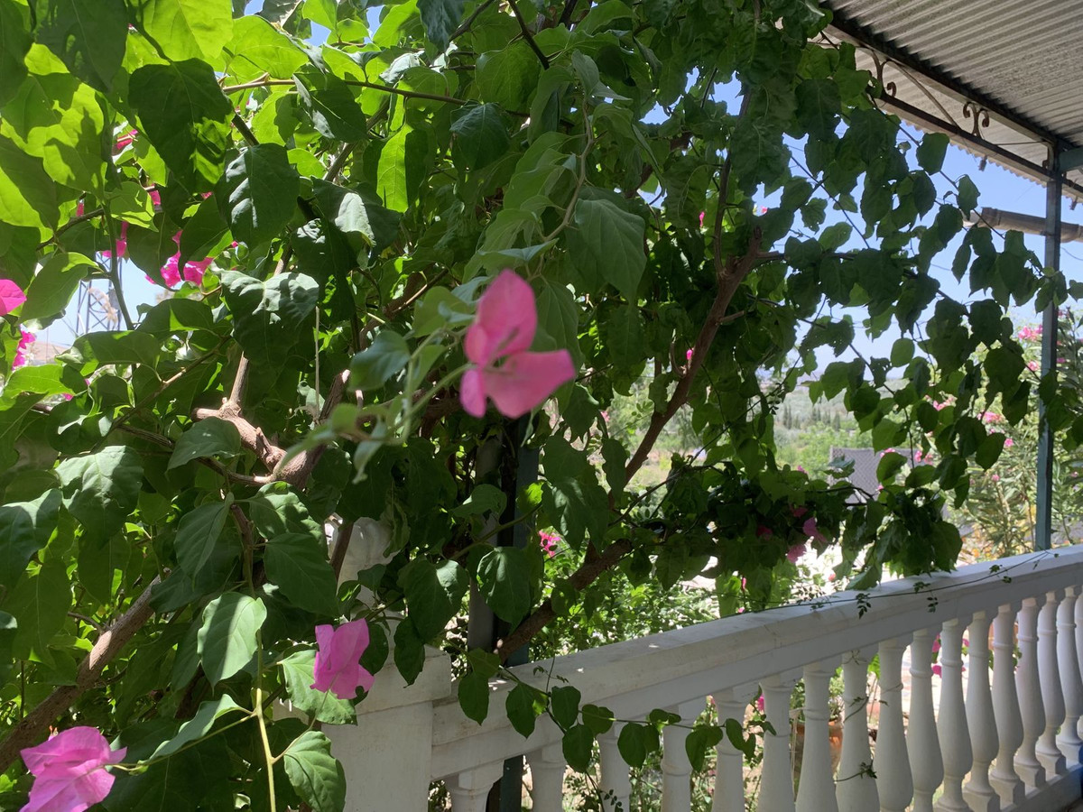 Property main view 5