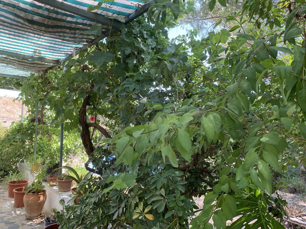 Property main view 6