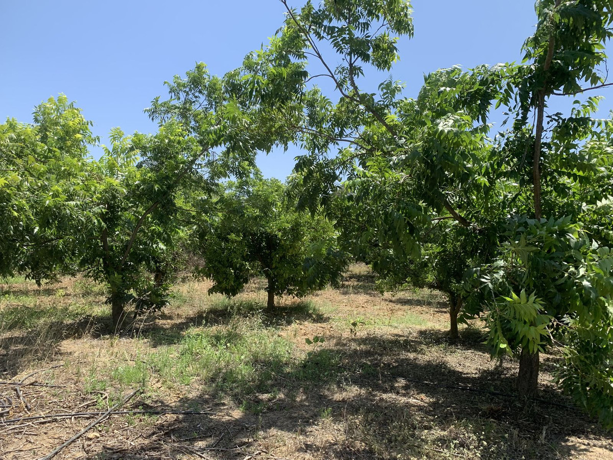 Property main view 7