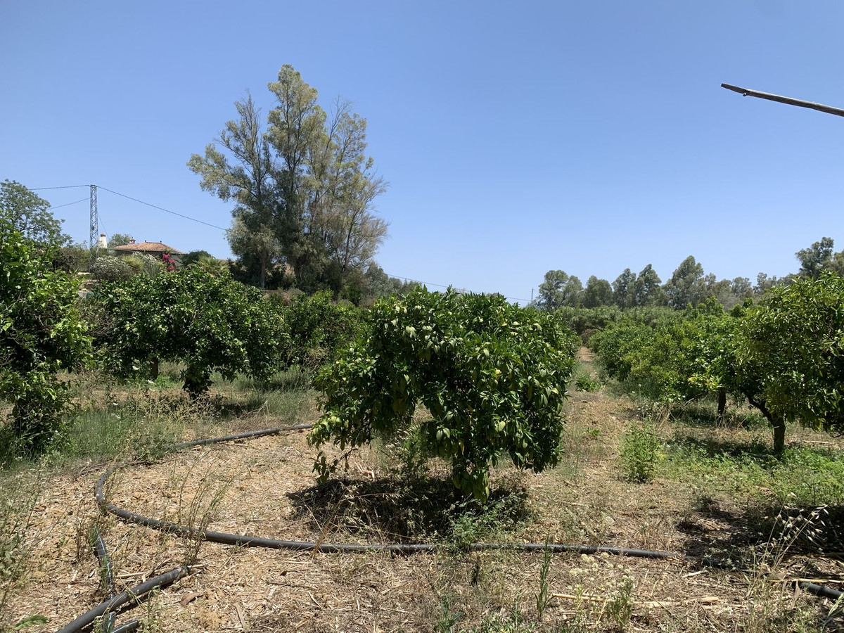 Property main view 9