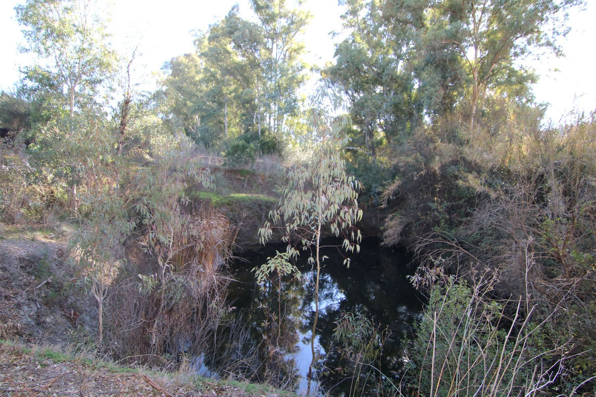 Property main view 32