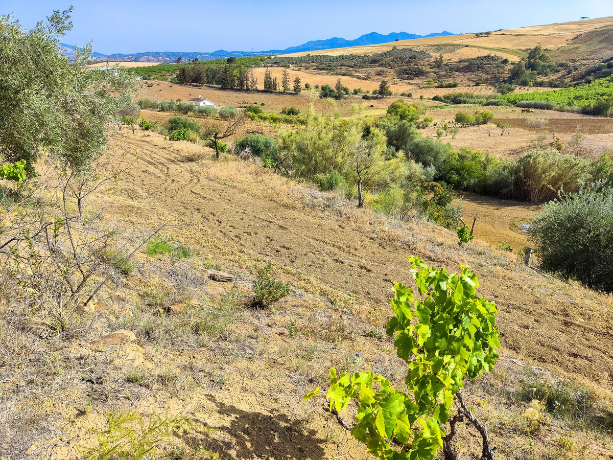 Property main view 13