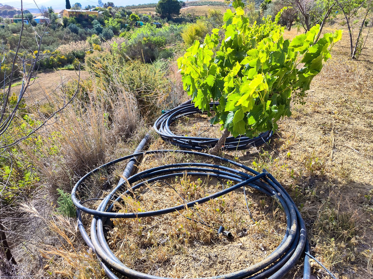 Property main view 5