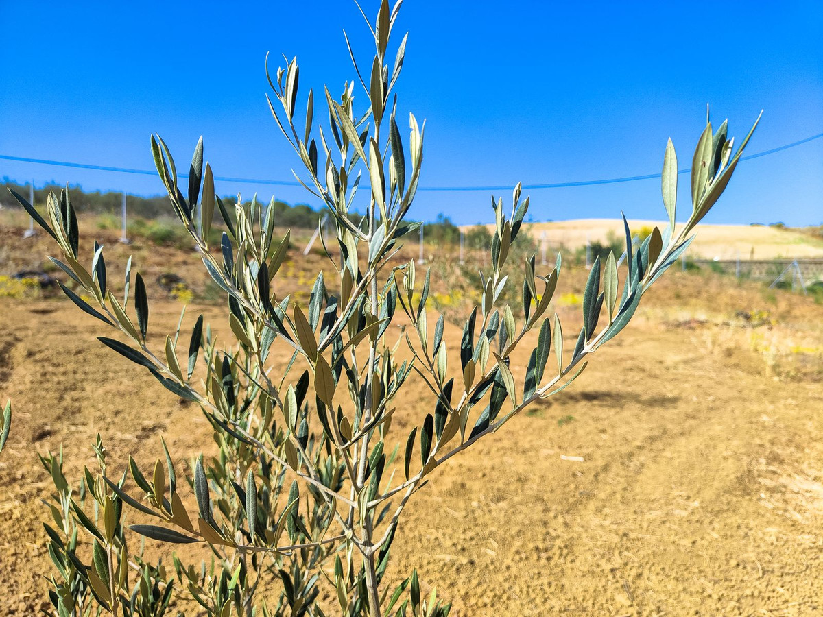 Property main view 6