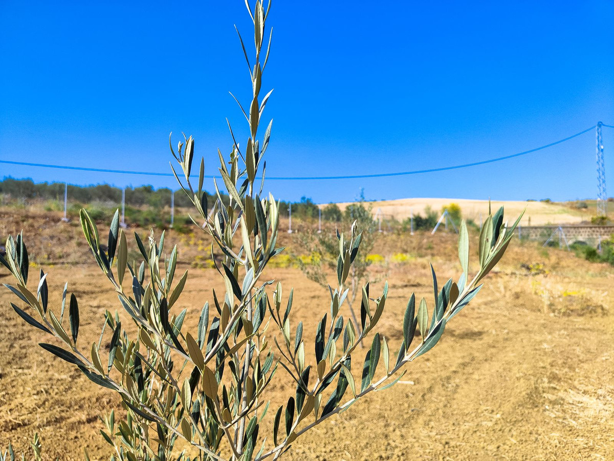 Property main view 7