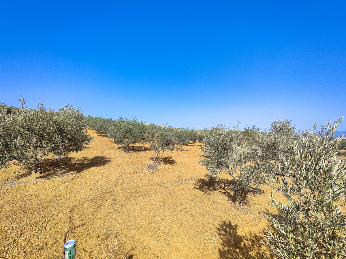 Property main view 8