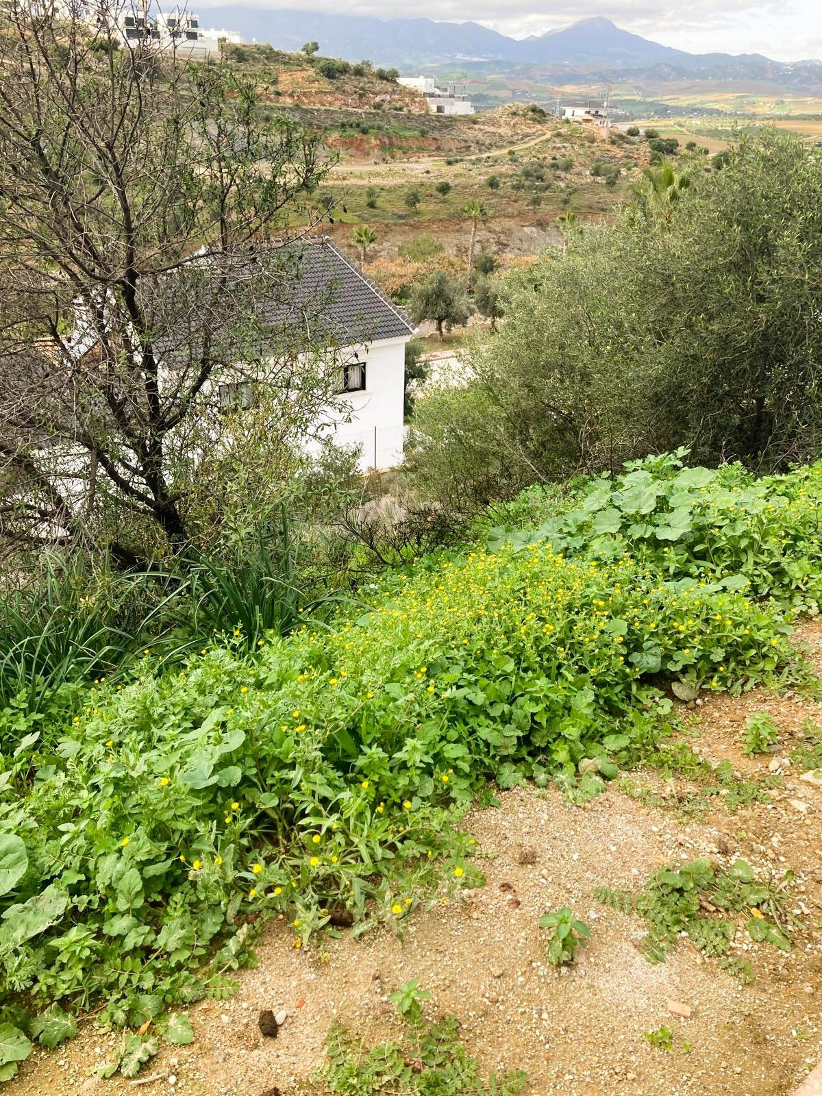 Residentiele Percelen in Coín-7