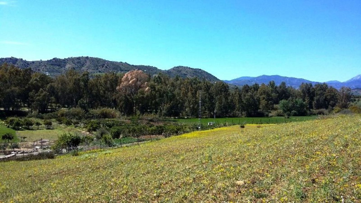 Property main view 10