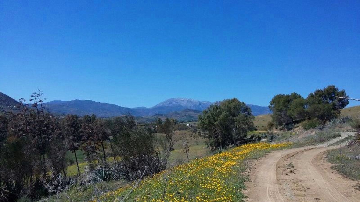 Property main view 11