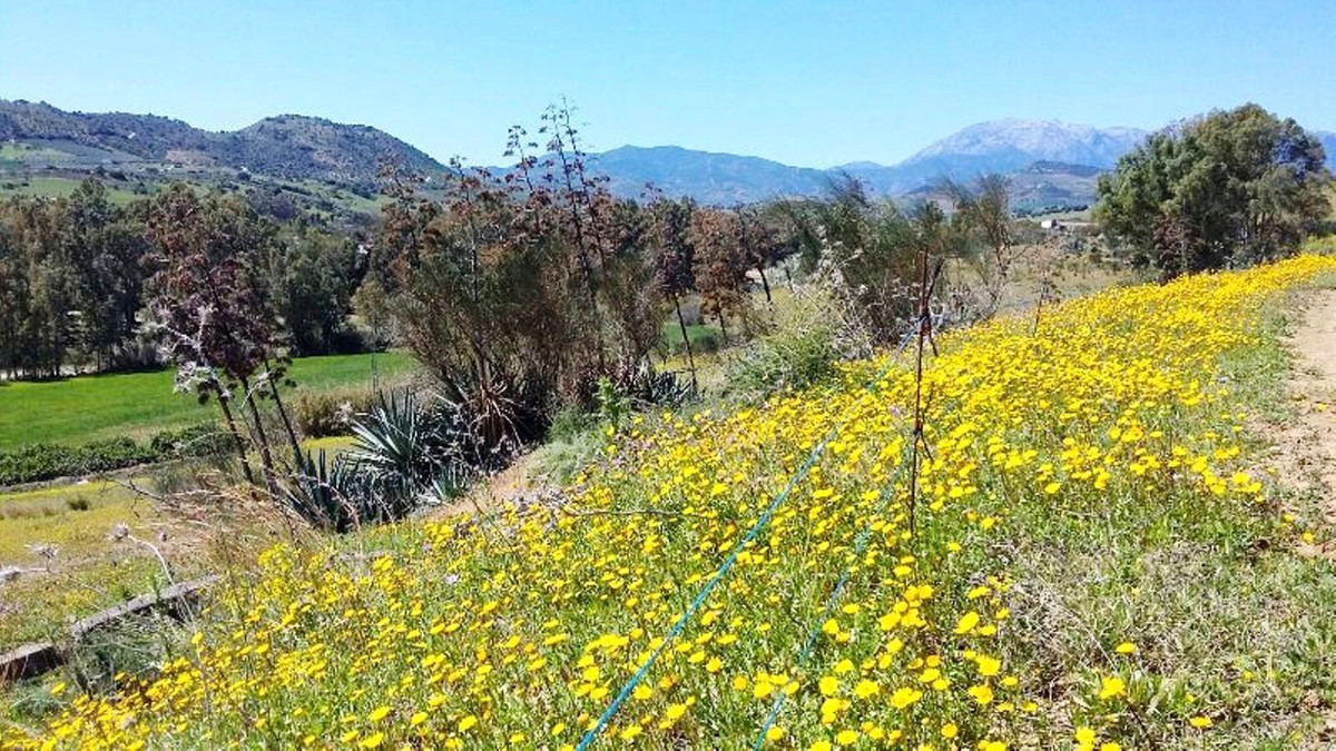 Property main view 12