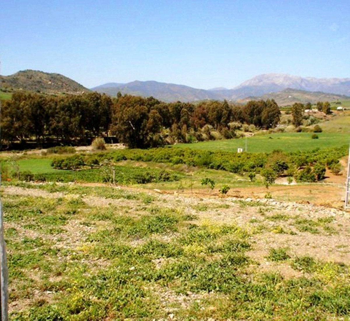 Property main view 14