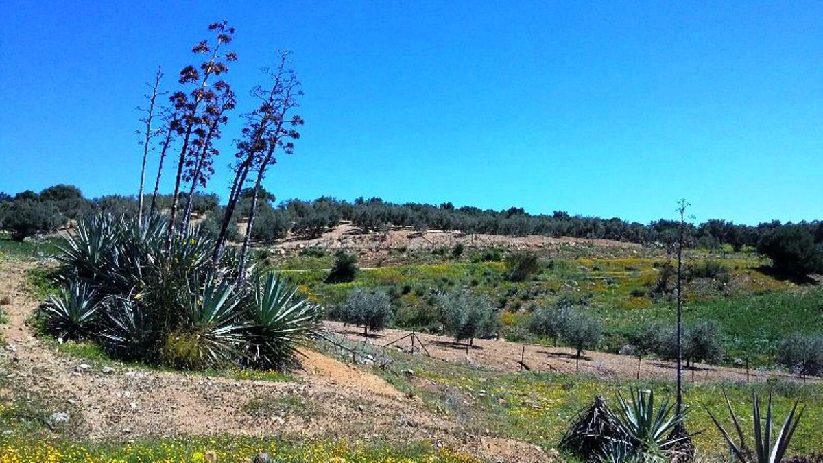 Property main view 15