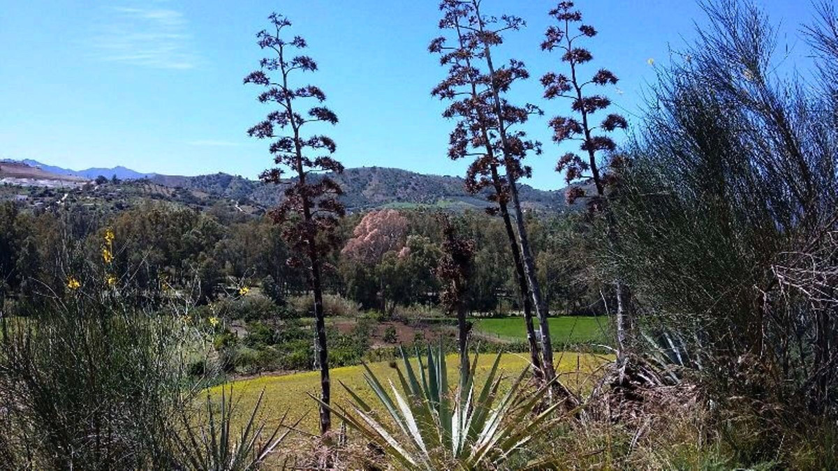 Property main view 16