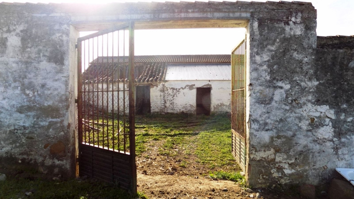 Property main view 19