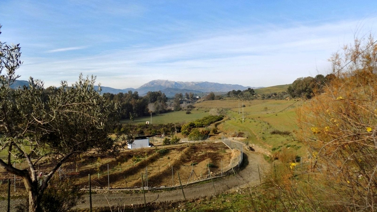 Property main view 5