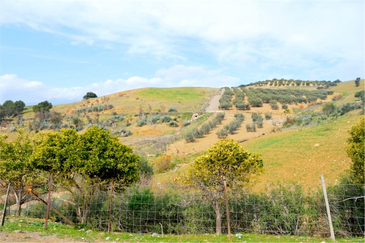 Property main view 7