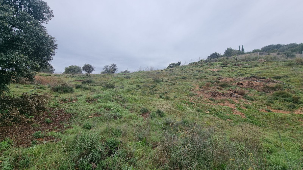 Grond in Coín-1