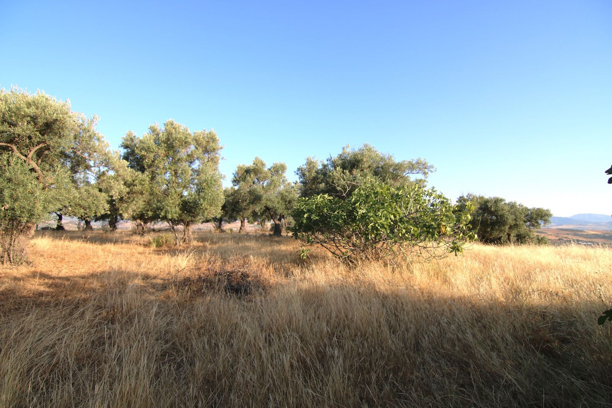 Grond te koop in Coín | 0 slaapkamers H5103949