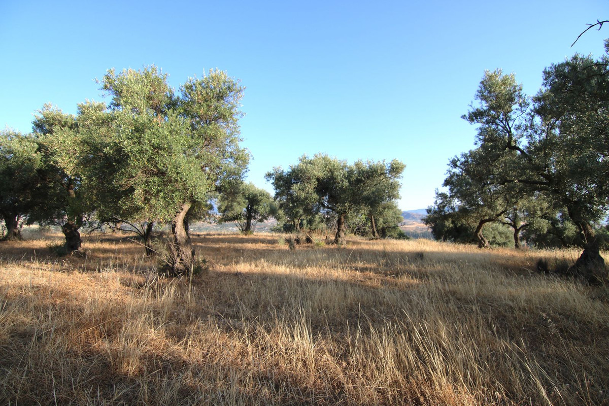 Grond te koop in Coín | 0 slaapkamers H5103949