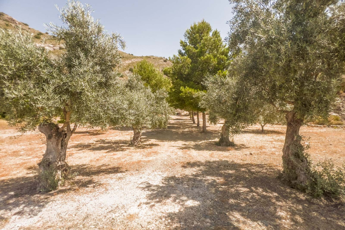 Percelen te koop in Coín | 0 slaapkamers H5108311