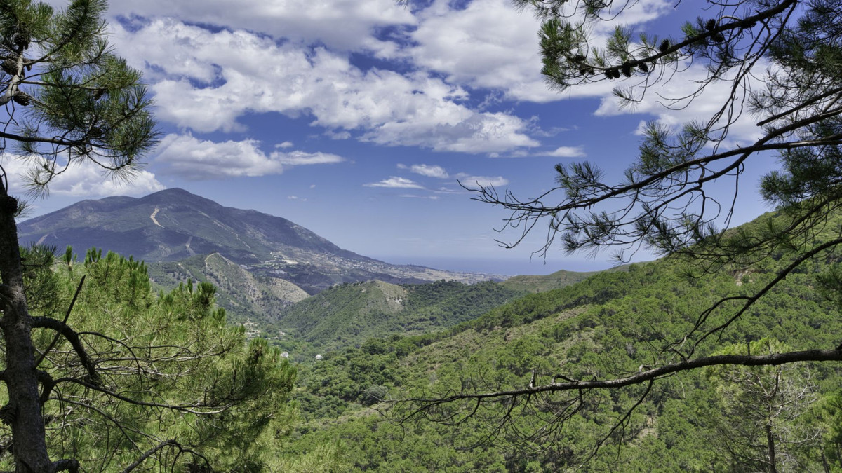 Land for sale in Coín | 0 bedrooms H5110540