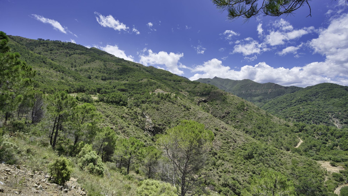 Land for sale in Coín | 0 bedrooms H5110540