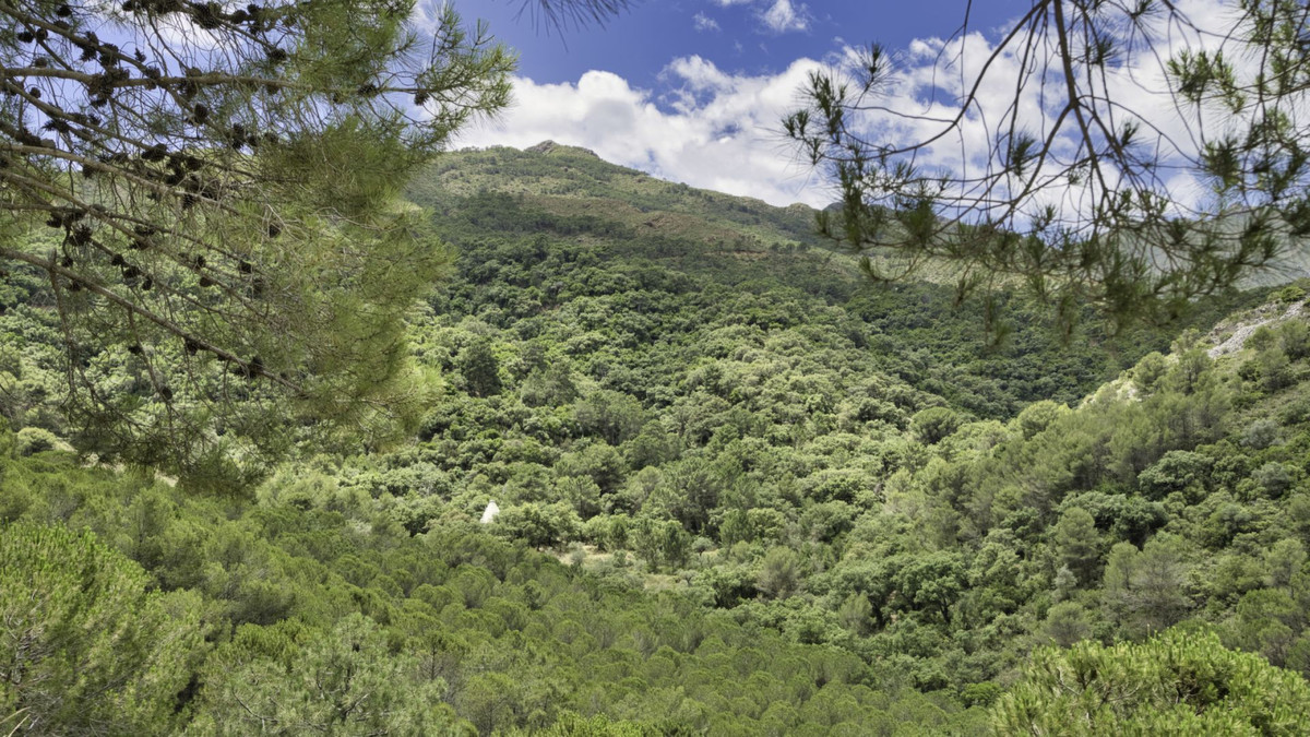Land for sale in Coín | 0 bedrooms H5110540