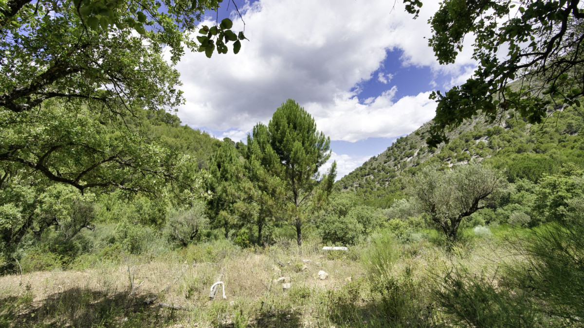 Land for sale in Coín | 0 bedrooms H5110540