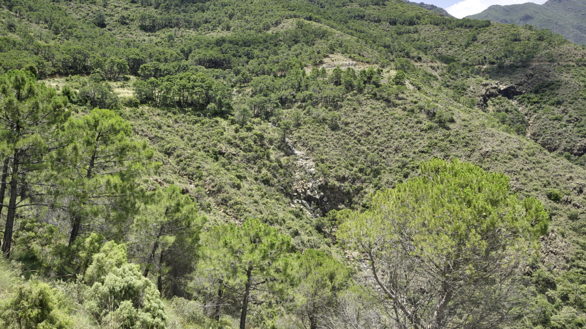 Land for sale in Coín | 0 bedrooms H5110540