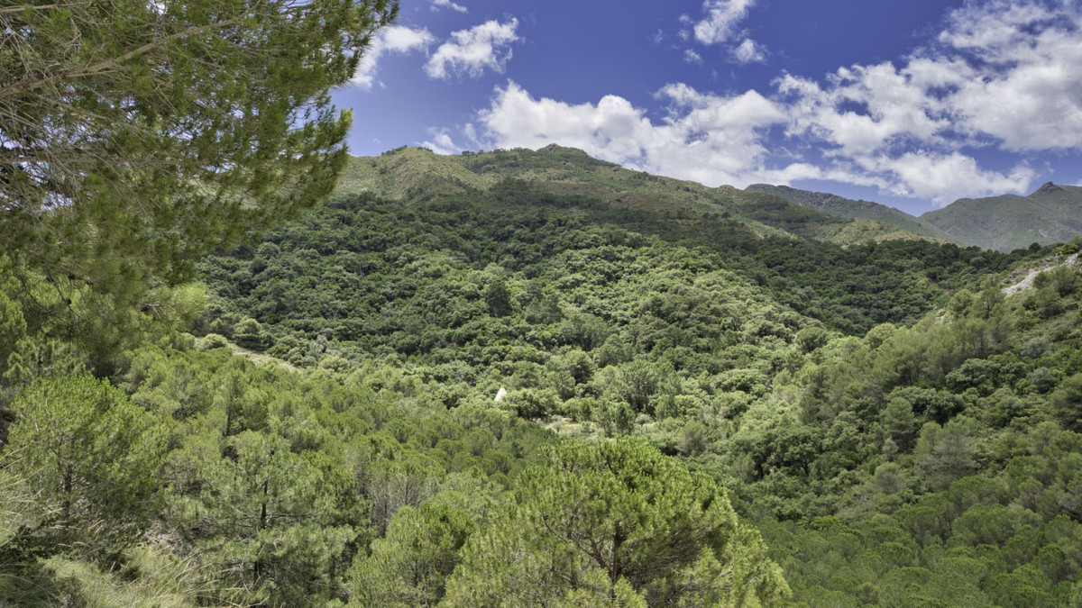 Land for sale in Coín | 0 bedrooms H5110540