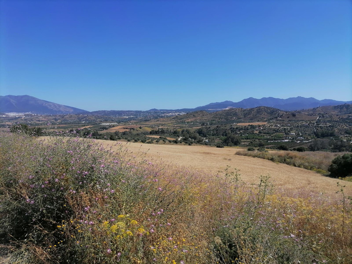 Property main view 2