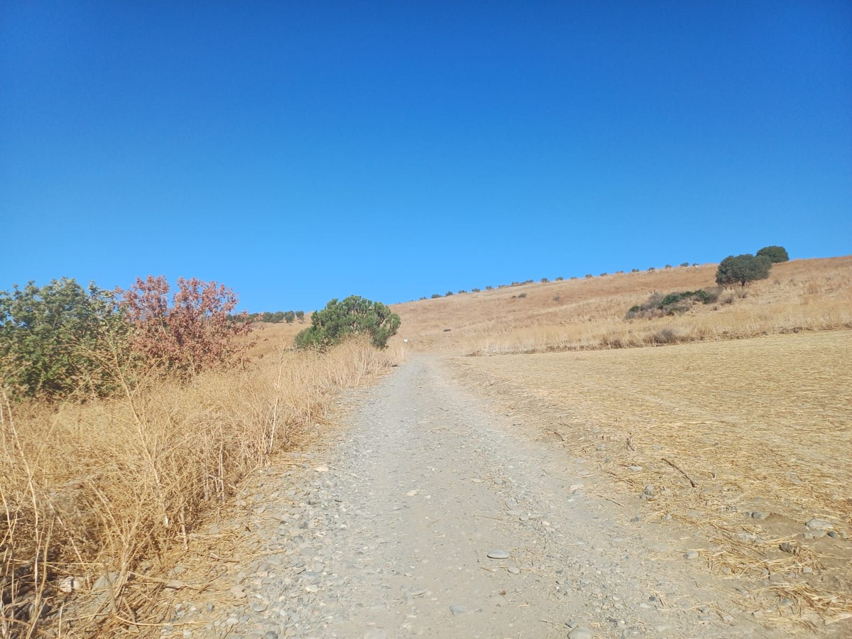 Property main view 3