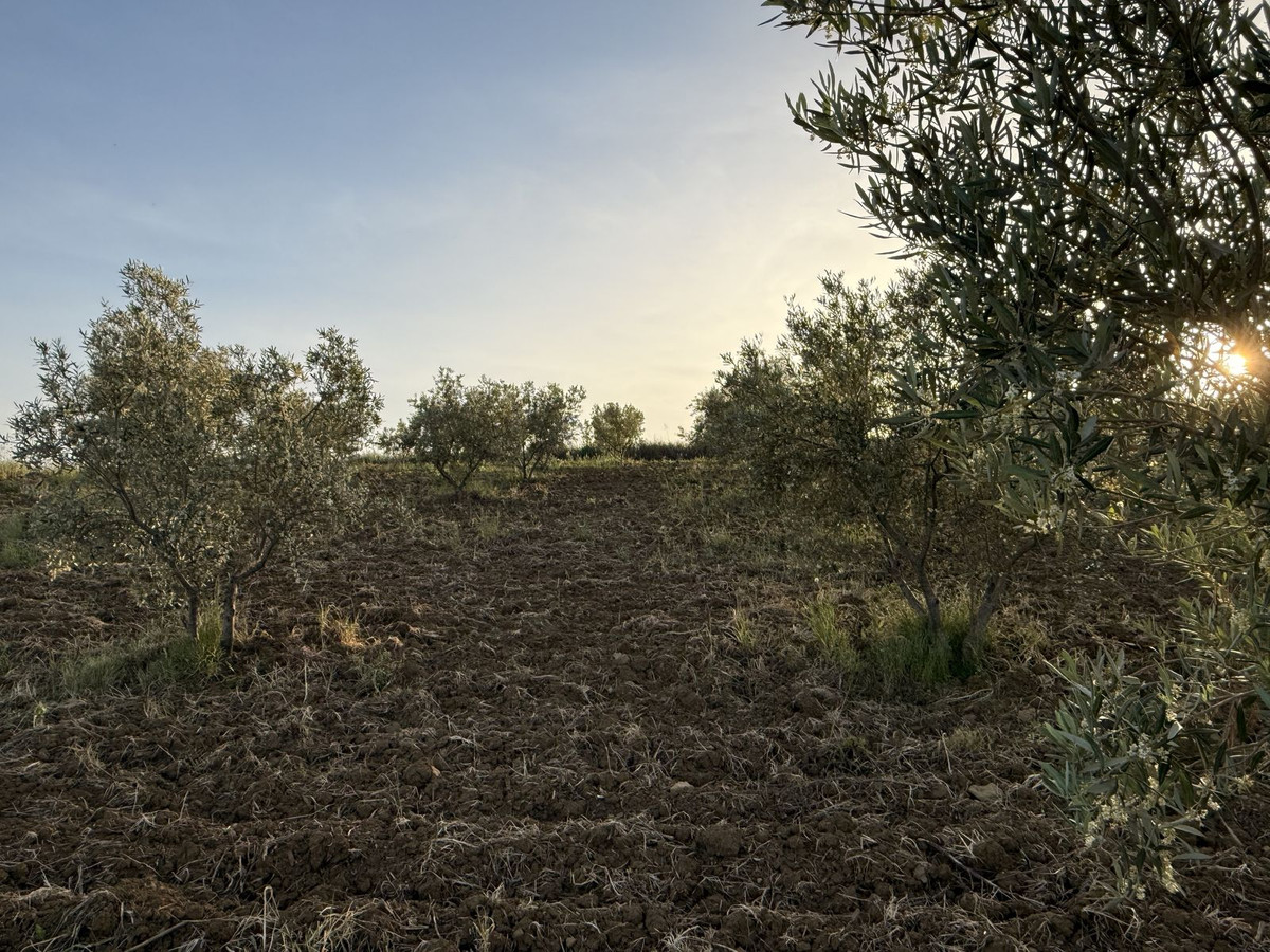 Property main view 6